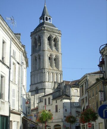 Cognac Private Tour